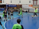 Oldies-Benefiz Handballturnier (Krems)